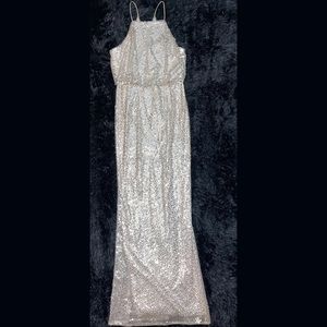 Adrianna Papell Sequin Maxi Dress